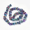 Natural Shell Beads Strands X-PBB226Y-4-2