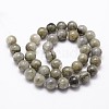 Natural Labradorite Bead Strands G-G735-29-8mm-2