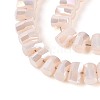 Electroplate Opaque Glass Beads Strands EGLA-N022-09A-C04-3