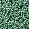 TOHO Round Seed Beads SEED-JPTR08-PF0561-2