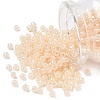 TOHO 6/0 Round Beads SEED-TR06-0147-1