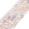 Gradient Color Electroplate Glass Bead Strands GLAA-E042-01E-1