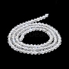 Natural Rainbow Moonstone Beads Strands X-G-J400-E12-01-4