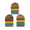 Pride Rainbow Theme Resin & Walnut Wood Pendants WOOD-K012-02-1