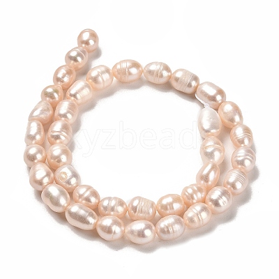 Natural Cultured Freshwater Pearl Beads Strands PEAR-E016-121-1