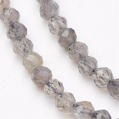 Natural Labradorite Bead Strands G-P213-38-3mm-1
