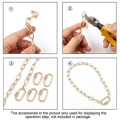 Brass Micro Pave Cubic Zirconia Screw Carabiner Lock Charms ZIRC-G160-21G-1