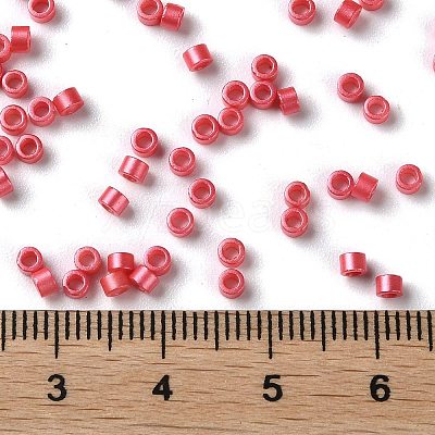 Baking Paint Glass Seed Beads SEED-S042-15A-06-1