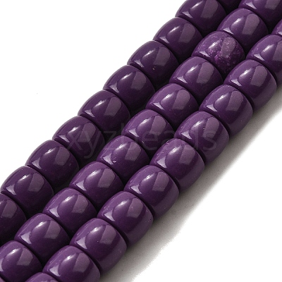 Natural Lepidolite/Purple Mica Stone Beads Strands G-F791-B01-1