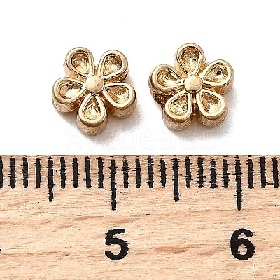 Alloy Beads FIND-D306-01B-MG-1