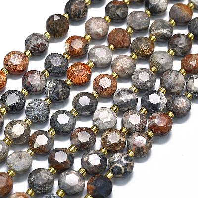 Natural Fossil Coral Beads Strands G-C116-A132-01-1