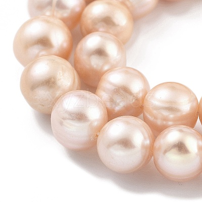 Natural Cultured Freshwater Pearl Beads Strands PEAR-C003-19E-1