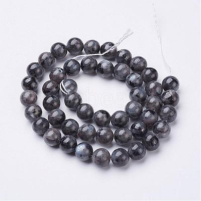 Natural Larvikite Beads Strands GSR8mmC128-1