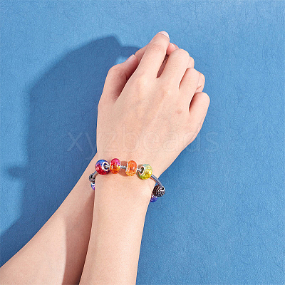 Two Tone Resin European Beads RPDL-NB0001-07-1