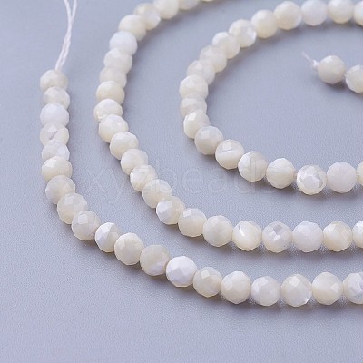 Shell Beads Strands LS-G-F619-27-3mm-1