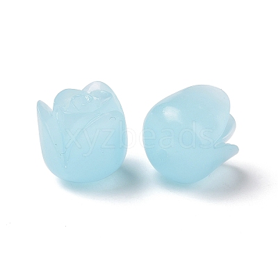 Epoxy Resin Beads RESI-I046-07A-1