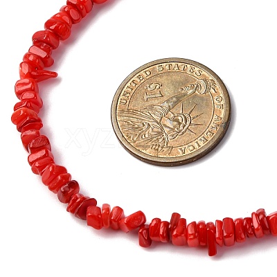 Dyed Natural Freshwater Shell Nuggets Beaded Necklaces NJEW-JN05488-01-1
