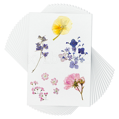 Dried Embossed Paper DIY-WH0622-646D-1