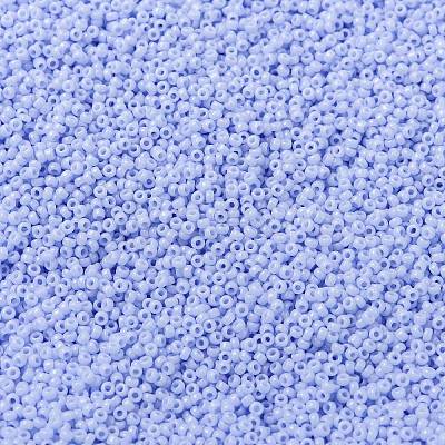 MIYUKI Round Rocailles Beads X-SEED-G009-RR0494-1