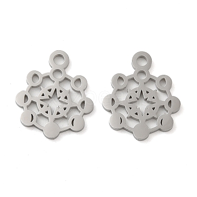 Non-Tarnish 304 Stainless Steel Charms STAS-J042-02P-1