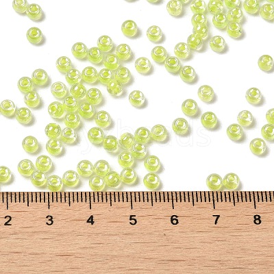 Glass Seed Beads SEED-H002-L-A233-1