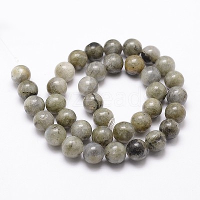 Natural Labradorite Bead Strands G-G735-29-8mm-1