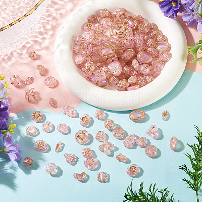 100G Transparent Acrylic Beads OACR-BT0001-05D-1