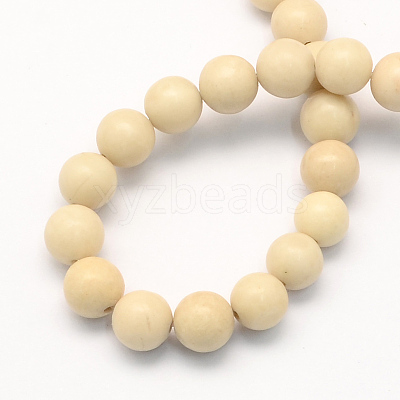 Natural Fossil Round Beads Strands G-S171-6mm-1