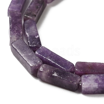 Natural Lepidolite/Purple Mica Stone Beads Strands G-E612-C05-A-1