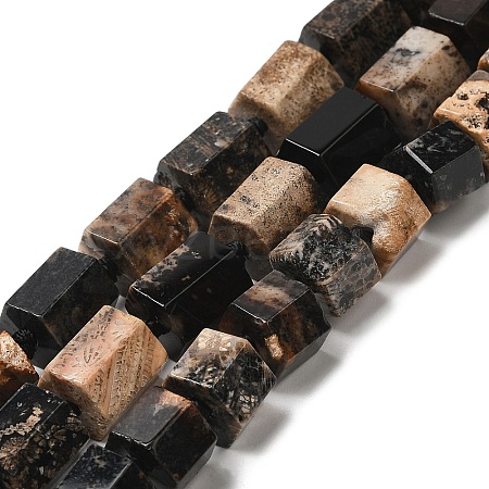 Natural Fossil Coral Beads Strands G-Q1003-03A-1