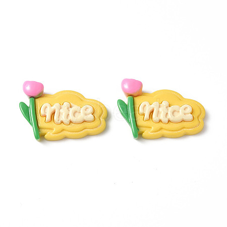 Opaque Resin Cabochons CRES-P023-01B-1
