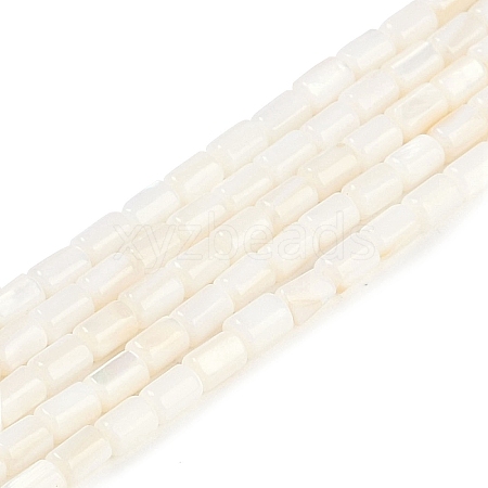 Natural Freshwater Shell Beads Strands BSHE-H109-17A-1