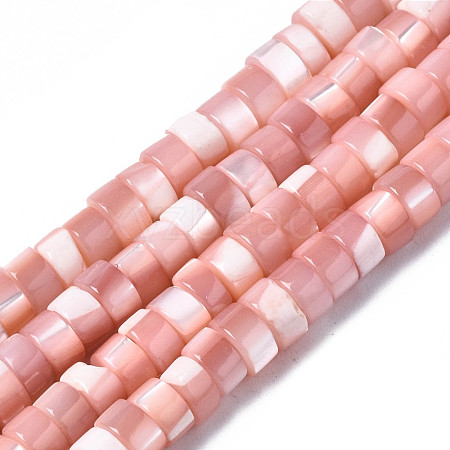 Natural Trochus Shell Beads Strands SHEL-S278-027H-1