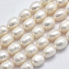 Natural Cultured Freshwater Pearl Beads Strands PEAR-F007-77-1