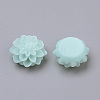 Resin Cabochons X-RB772Y-16-1