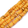 Natural Trochid Shell/Trochus Shell Beads Strands X-SHEL-S258-081-B10-1