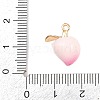 Fruit Alloy Enamel Pendants ENAM-P264-02D-G-3