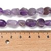 Natural Amethyst(Dyed & Heated) Beads Strands G-P497-01E-17-5