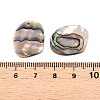 Natural Paua Shell Pendants SHEL-T020-11A-3