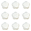 30Pcs Natural Freshwater Shell Beads SHEL-CJ0001-29-3