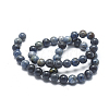 Natural Dumortierite Quartz Bead Strands G-I224-03-8mm-2