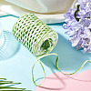 Raffia Twine Yarn OCOR-TAC0025-009D-7