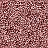 8/0 Glass Seed Beads X-SEED-A017-3mm-1108-2