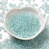 Glass Seed Beads SEED-K009-04A-01-2