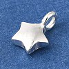 925 Sterling Silver Charms STER-G043-05A-S-2