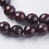 Natural Garnet Beads Strands G-G542-10mm-21-3