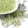 Transparent Baking Paint Glass Seed Beads SEED-P006-02B-09-1