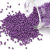 12/0 Grade A Glass Seed Beads X-SEED-Q009-FJX33-1