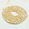 Natural Shell Beads Strands G-K020-3mm-02-2