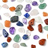 93.1G 7 Styles Natural Mixed Gemstone Chip Beads G-FS0005-79-2